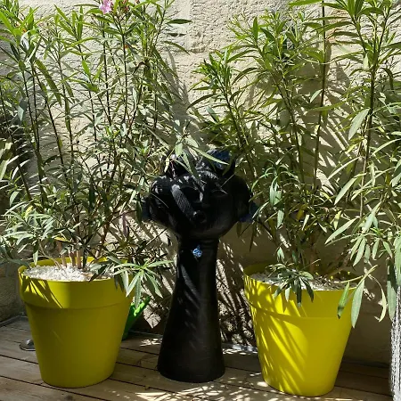 Maison 2 Appts Et 1 - Conciergerie De L'uzege Apartment Uzes