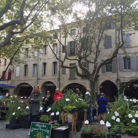 Maison 2 Appts Et 1 - Conciergerie De L'uzege Apartment